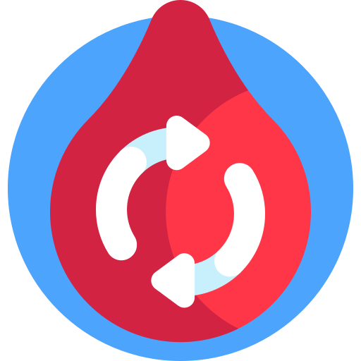 circulation et articulation